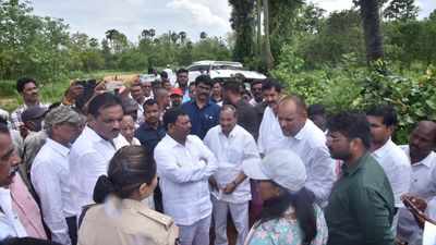 Real development of Vizianagaram, Parvathipuram districts all thanks to YSRCP regime: Andhra Pradesh Deputy Chief Minister