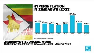 Zimbabwe's economic woes: Hyperinflation, a currency slump and high unemployment