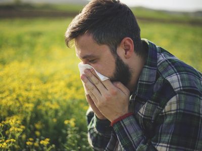 Why do we get hay fever and what are the symptoms?