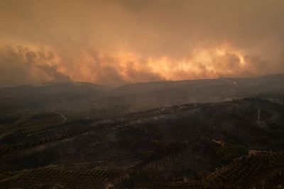 European firefighters and planes join battle against wildfires that have left 20 dead in Greece