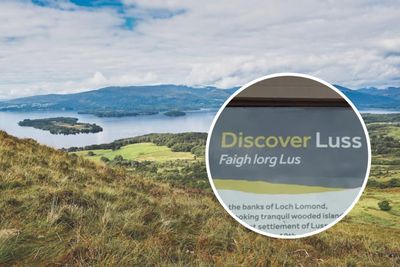 Scottish national park to replace 'junk Gaelic' on its signage