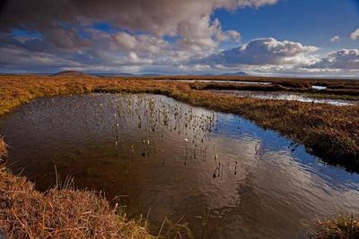 Majority of Scots support introduction of carbon land tax on large estates