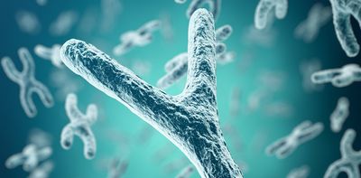 Scientists find the last remnants of the human genome that were missing in the Y chromosome