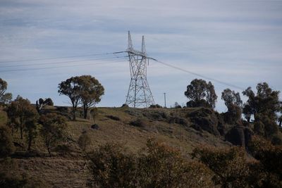 Australia urgently needs a grid upgrade – but the march of new power lines faces a bush revolt