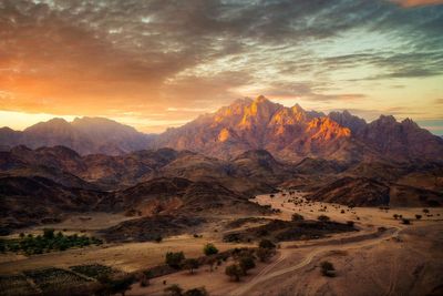 9 of the best things to do in Saudi Arabia