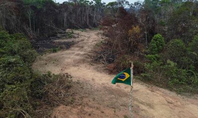 Amazon’s emissions ‘doubled’ under first half of Bolsonaro presidency