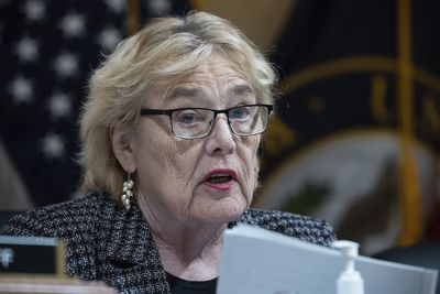 ‘A marriage of convenience’: Why the pushback against a key spy program could cave in on progressives