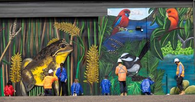 Belconnen mural comes up smelling of roses