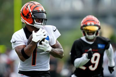 Watch: Ja’Marr Chase makes sick one-handed grab at Bengals practice