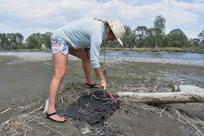 Petroleum asphalt remains in Yellowstone River, even after cleanup from train derailment