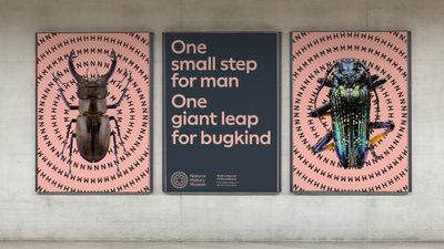 How we made the National History Museum's new identity