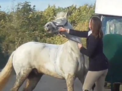 Former teacher ‘repeatedly punched pony in face’ after it ran into road