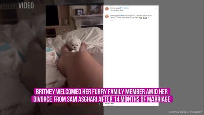 Britney Spears introduces new puppy after ‘reaching custody agreement’ with Sam Asghari over their dogs