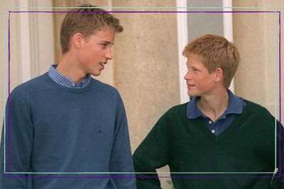 Prince William ‘understands’ that Prince Harry ‘had a harder upbringing' after missing out on the ‘extra three years’ he got to spend with their mother Princess Diana