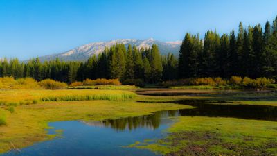 “Stop trampling vegetation” – how your hiking boots are changing Yosemite’s landscape