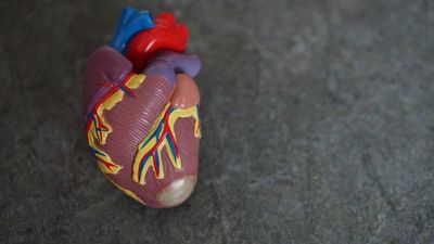 Feeling Safe From Crime Reduces Heart Attack Risk: Study