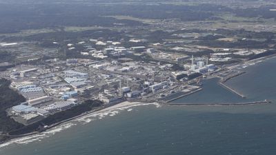 Worries over seafood safety mount as Japan releases Fukushima water into the Pacific