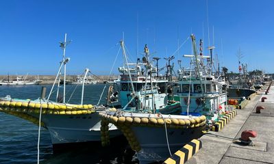 ‘They won’t buy it’: fish traders anxious after Fukushima wastewater release