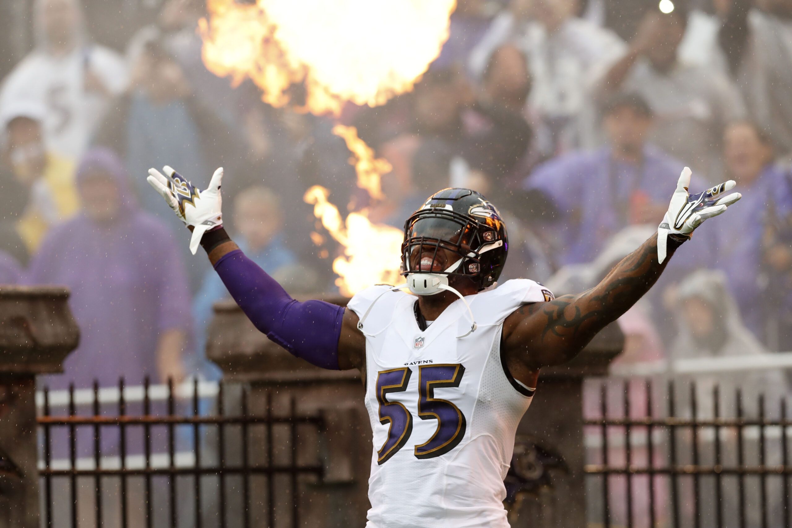 Ravens HC John Harbaugh: Terrell Suggs 'No-Brainer' For Ring Of Honor -  PressBox