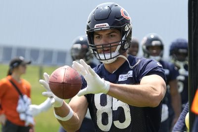 Bears TE Cole Kmet ‘back to normal’ after injury scare
