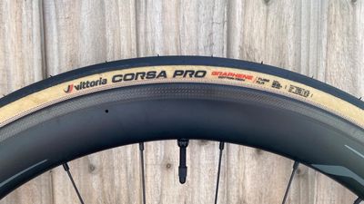 Vittoria Corsa Pro tire review - supreme performance, but worth the cost?