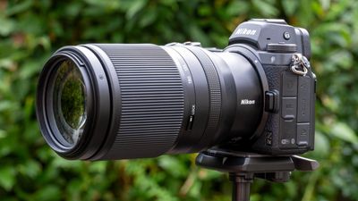 Nikon Z 70-180mm f/2.8 review