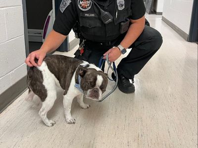 A woman abandoned her dog at a Pennsylvania airport before flying to a resort, officials say