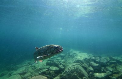 Judge OKs updated Great Lakes fishing agreement between native tribes, state and federal agencies