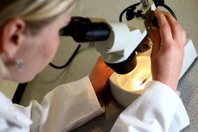 UK faces science ‘brain drain’ amid delays in joining EU research scheme
