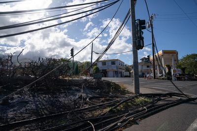 Maui County sues Hawaiian Electric Co. for damages from disastrous fires