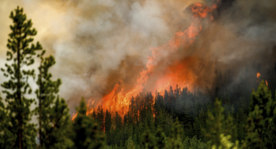 Facebook blocks local news as Canada battles record bushfires