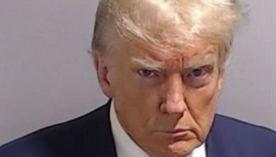 One image, one face, one American moment: the Donald Trump mug shot