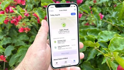 iOS 17 turns your phone into a mood-tracking device — here's how the feature works