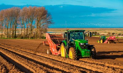 Farmers in England unsure what to plant as post-Brexit payments delayed