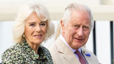 King Charles and Queen Camilla's cancelled royal tour is back on the cards