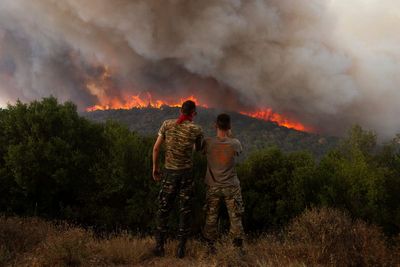 Minister calls out ‘arsonist scum’ as 79 arrested over Greece wildfires