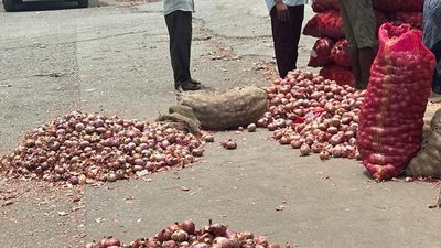 Buying onions might leave Bengaluru consumers teary-eyed unless weather plays nice