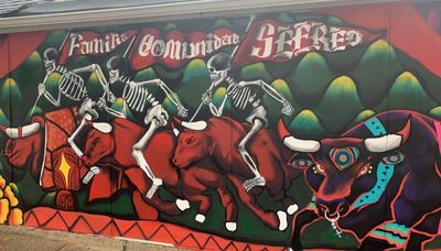 In Pilsen mural, skeletons riding stampeding cattle offer a nod to Mexican heritage, the Bulls
