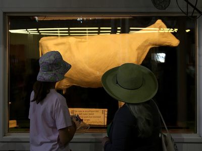 Illinois State Fair shockingly reveals butter cow wasn’t made of butter