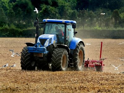 Farmers ‘left in the lurch’ as post-Brexit payments delayed