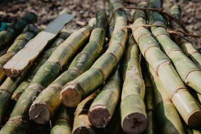 Sugar Prices Underpinned on a Lack of Monsoon Rain in India