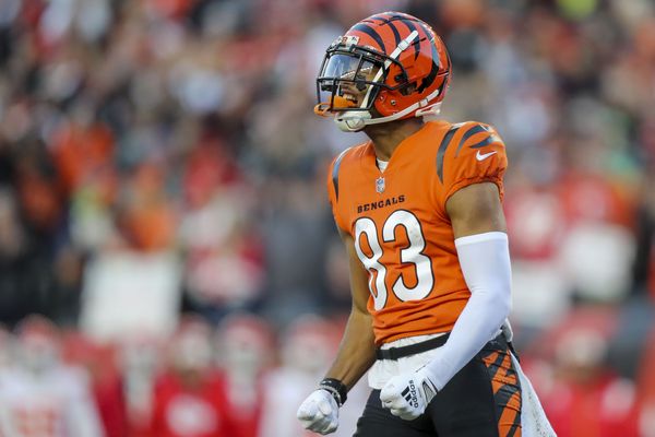 Watch: Bengals rookie Andrei Iosivas scores, hits a griddy