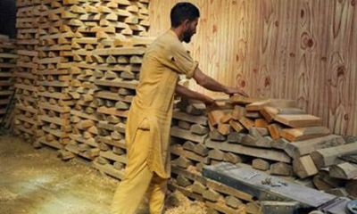 Kashmir willow bats to be used by international cricketers during ODI World Cup in India