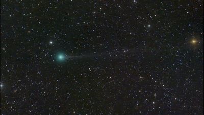 Will newfound Comet Nishimura really be visible to the naked eye? Experts aren't so sure