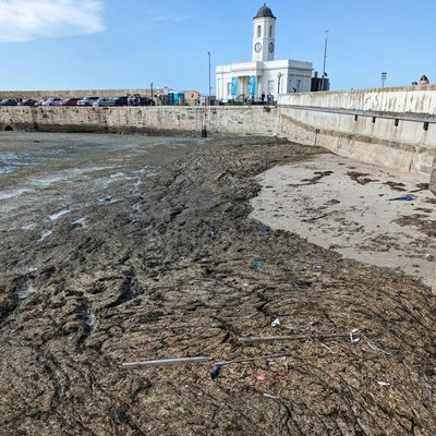 Health alarm as tide of rotting seaweed chokes UK holiday beaches