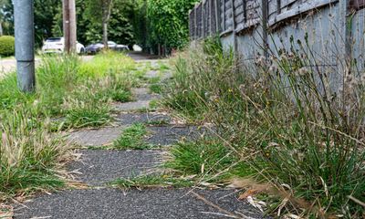 Weed-choked pavements anger residents as ‘rewilding’ divides UK towns and cities