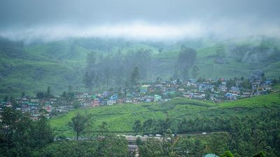 Munnar records its lowest rainfall in August in 10 years: UPASI