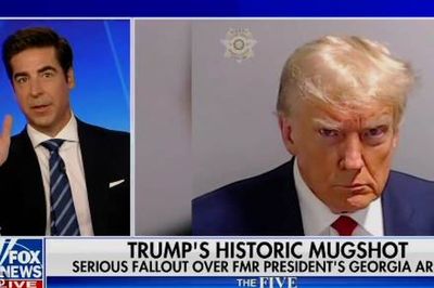 Fox News’ Jesse Watters ridiculed for raving that Trump ‘looks good and looks hard’ in Georgia mug shot