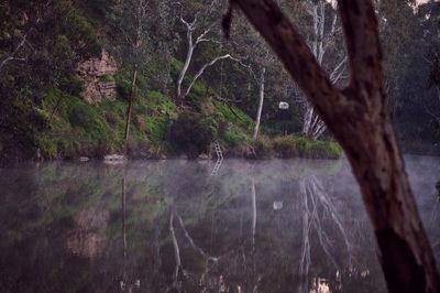 Melbourne has treated the Yarra River terribly – but it doesn’t have to stay that way