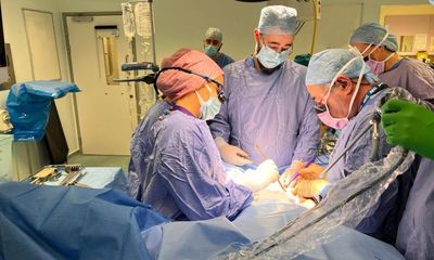 Womb transplants may be the dawn of a new age, but they fill me with foreboding